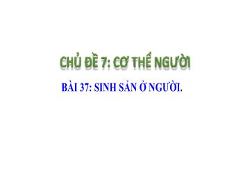 Bài giảng Khoa học tự nhiên 8 - Chủ đề 7: Cơ thể người - Bài 37: Sinh sản ở người