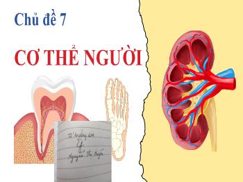 Bài giảng Khoa học tự nhiên 8 - Chủ đề 7: Cơ thể người - Tiết 85-87, Bài 28: Hệ vận động ở người