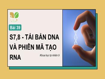 Bài giảng Khoa học tự nhiên 9 (Kết nối tri thức) - Bài 39: Tái bản DNA và phiên mã tạo RNA (Tiết 7+8)