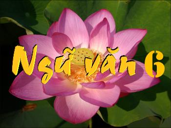 Bài giảng Ngữ văn 6 - Bài: Trong lòng mẹ