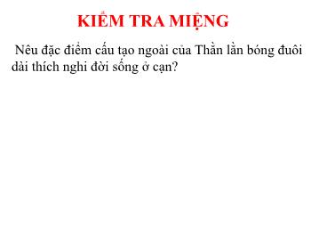 Bài giảng Sinh học 7 - Tiết 33: Đa dạng và đặc điểm chung của lớp bò sát