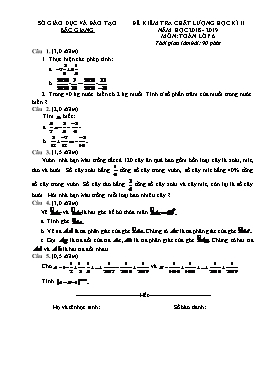 Đề kiểm tra chất lượng học kì II Toán 6 - Năm học 2018-2019 - Sở GD&ĐT Bắc Giang (Có đáp án)