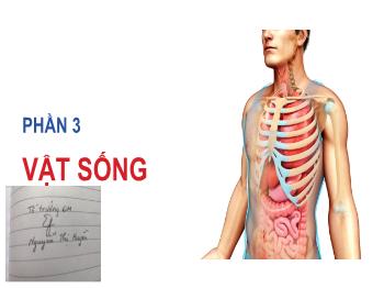 Bài giảng Khoa học tự nhiên 8 - Phần 3: Vật sống - Bài 27: Khái quát về cơ thể người