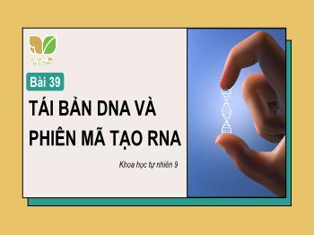 Bài giảng Khoa học tự nhiên Lớp 9 (Kết nối tri thức) - Bài 39: Tái bản DNA và phiên mã tạo RNA